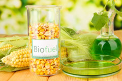 Higher Whatcombe biofuel availability